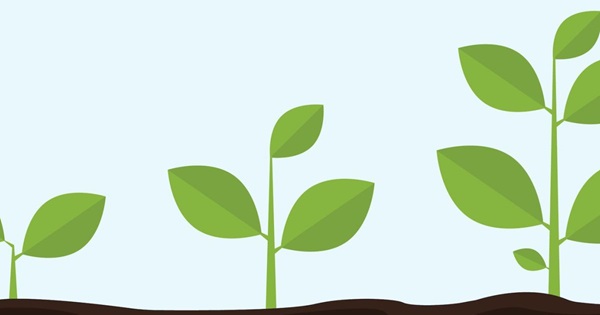 scalability scalability